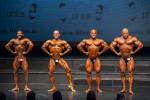 Bodybuilding. Overall